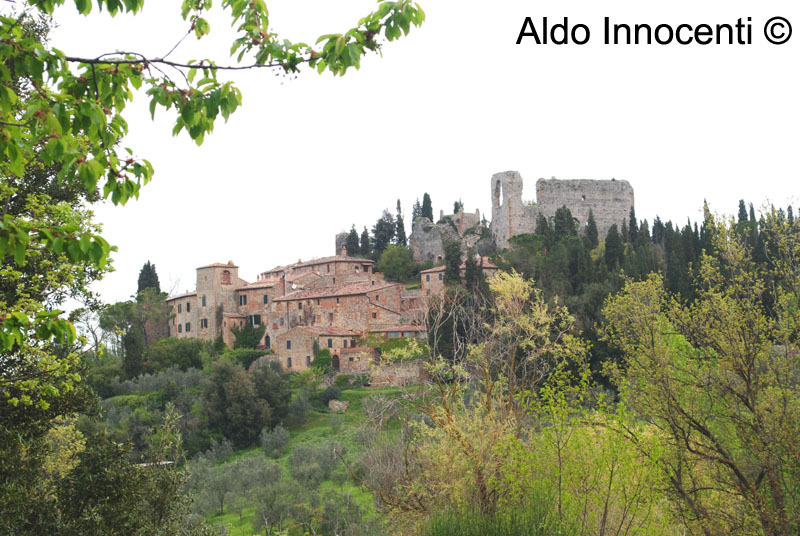 MONTELIFRE': PANORAMA 3' IMMAGINE